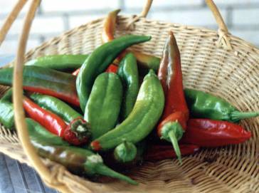 chilies